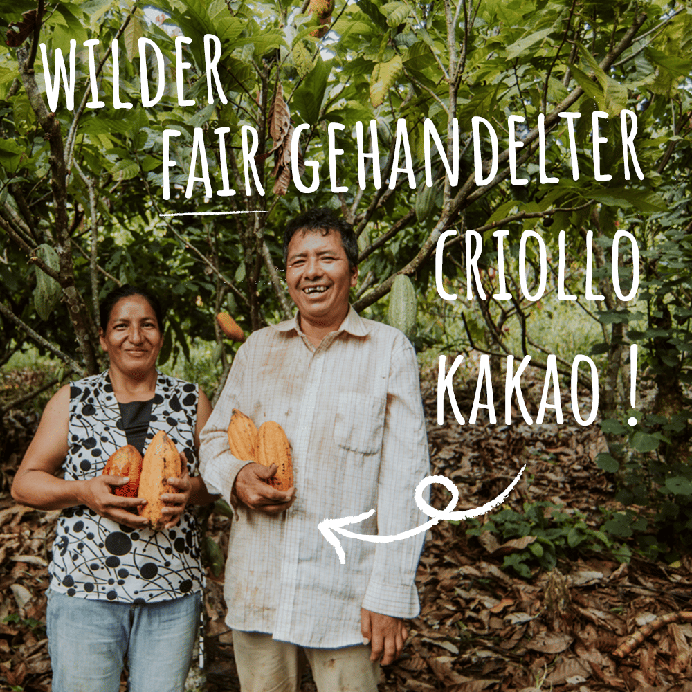 peruanisches bauernpaar mit kakaobohnen in der hand vor kakaobäumen