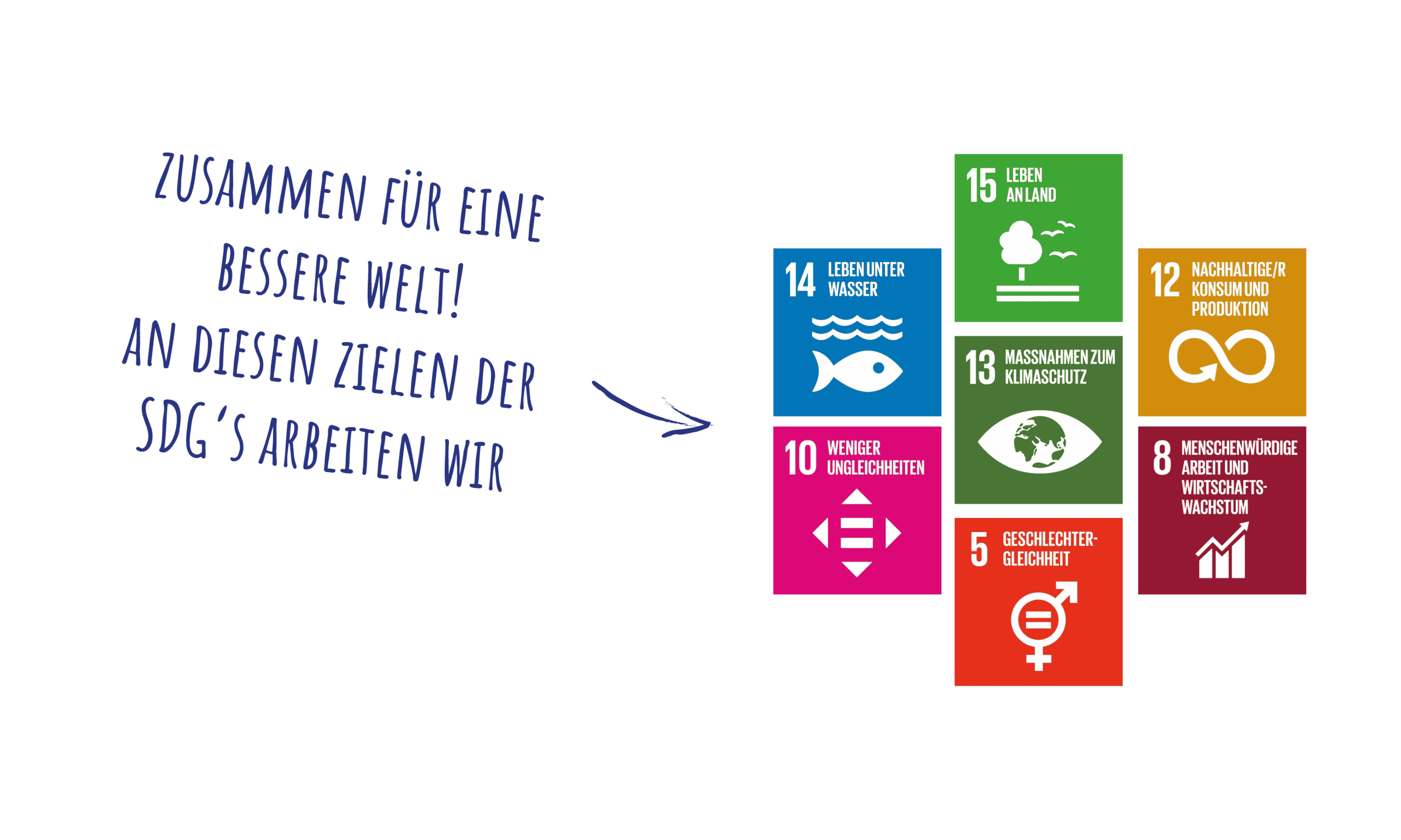 wir arbeiten an den zelen der SDG's: -weniger ungleichheiten -geschlechtergleichheit - menschenwürdige arbeit und wirtschaftswachstum - maßnahmen zum klimaschutz - nachhaltiger konsum und produktion - leben an land - leben unter wasser
