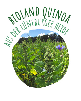 Bild einer Quinoapflanze mit Aufschrift Bioland Quinoa aus der Lüneburger Heide