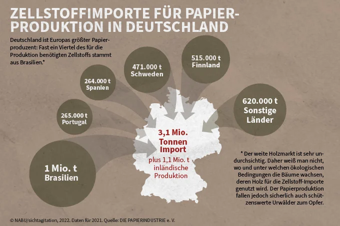 Grafik über Zellstoffimporte für Papierproduktion in Deutschland